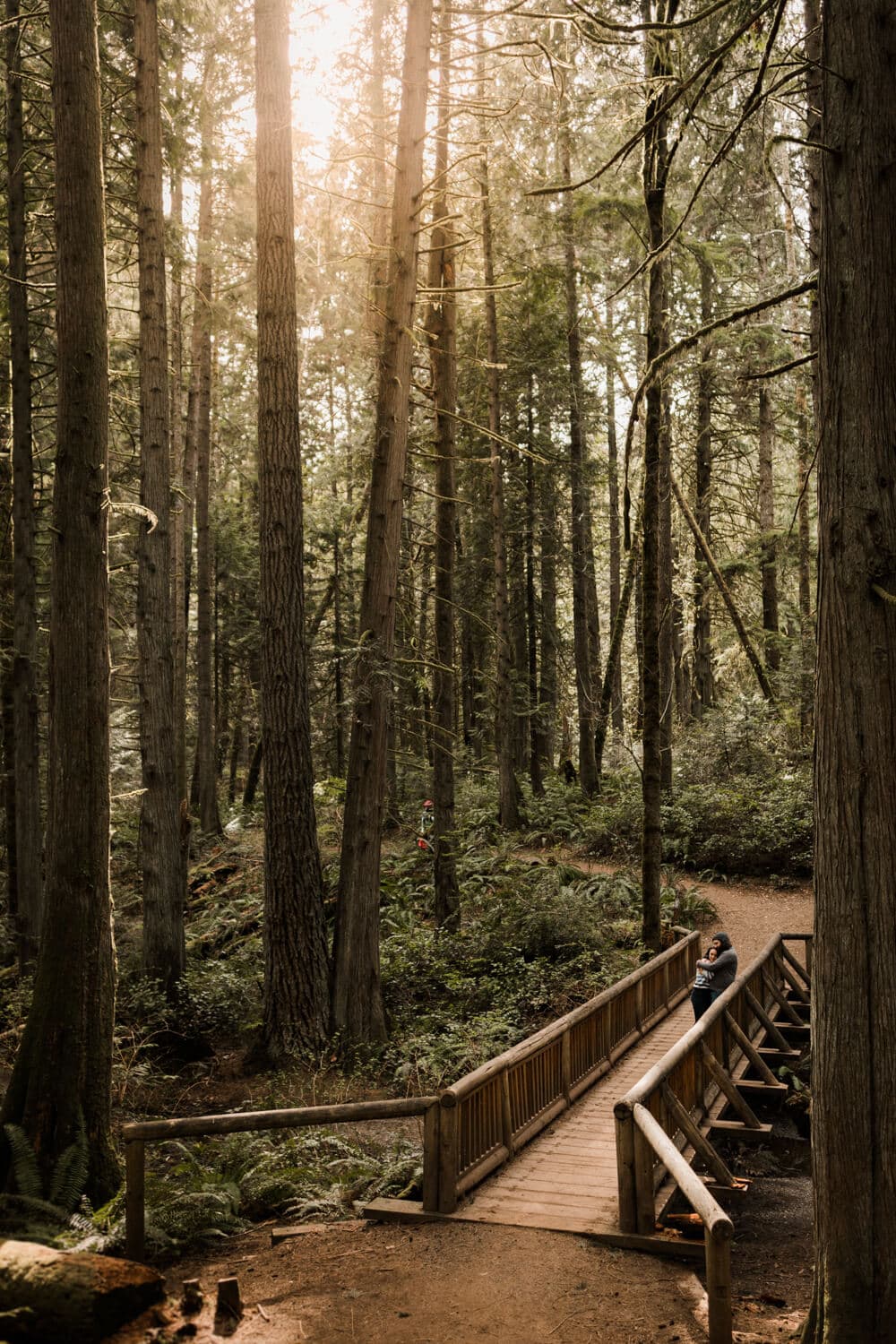 two people stand on a bridge in the forest