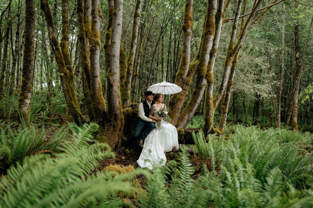 A couple in wedding attire sit in a tree in the forest